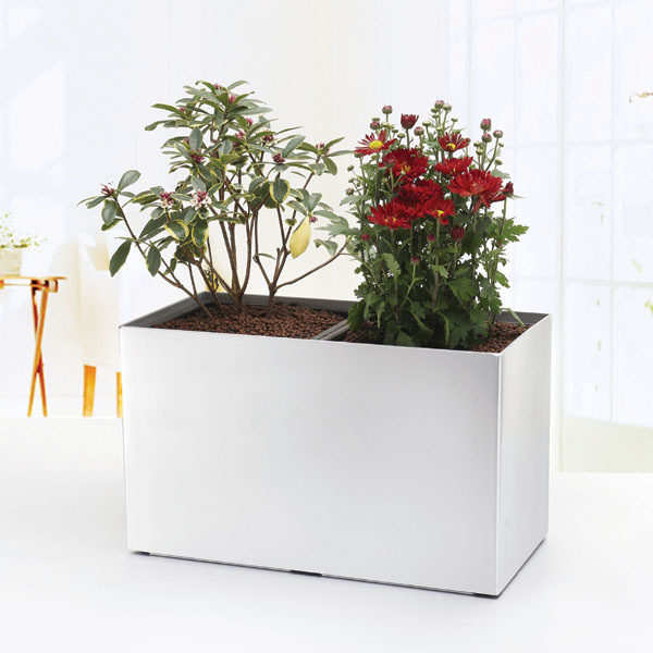 Best Selling Flower Pot Planter for Home Office Decoration Novelty Macetasplastic Pots Planters for Indoor Plants (GL1)