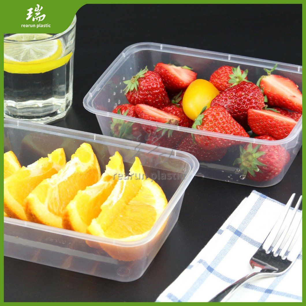 Rearun Suppliers Airtight Disposable Lunch Container