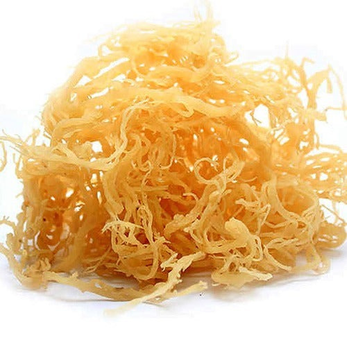 Natural Dry Organic Irish Sea Moss