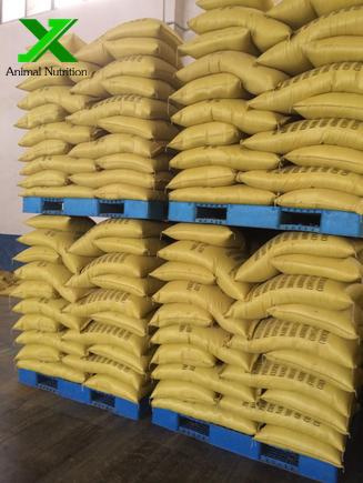 Corn Gluten Meal for Poultry