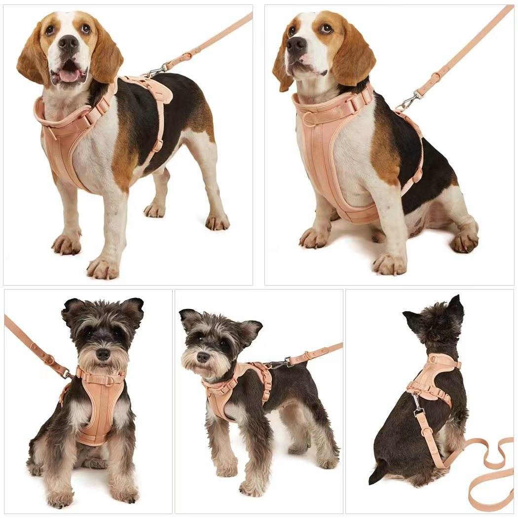 Hot Sale Colorful Pet Harness Leash
