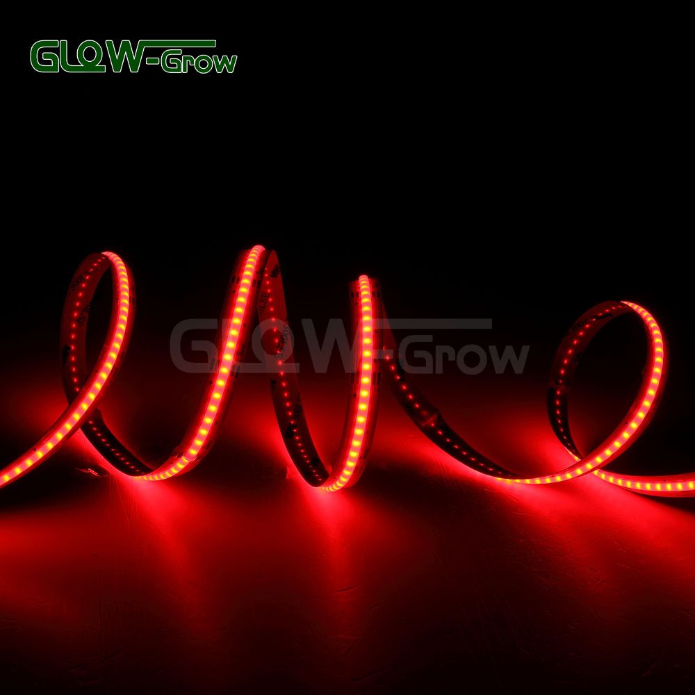 Flexible 24V IP20 Customizable Red LED COB Strip RGB Light with Remote Controller