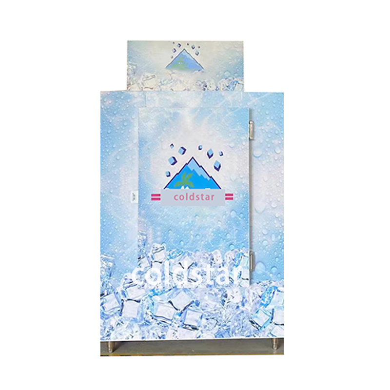 Large Bagged Ice Storage Bin Commercial Ice Merchandiser Outdoor Solid Door Ice Freezer