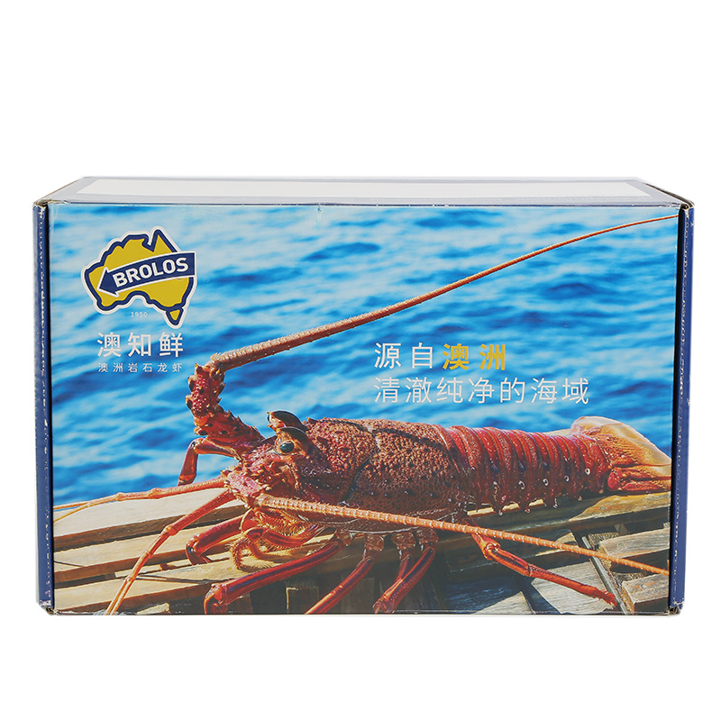 Four Color Printed Paper Box for Food