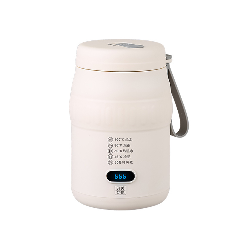 Smart Portable 5-in-1 Electric Kettle, 500ml, Type-C & 220V Dual Charging