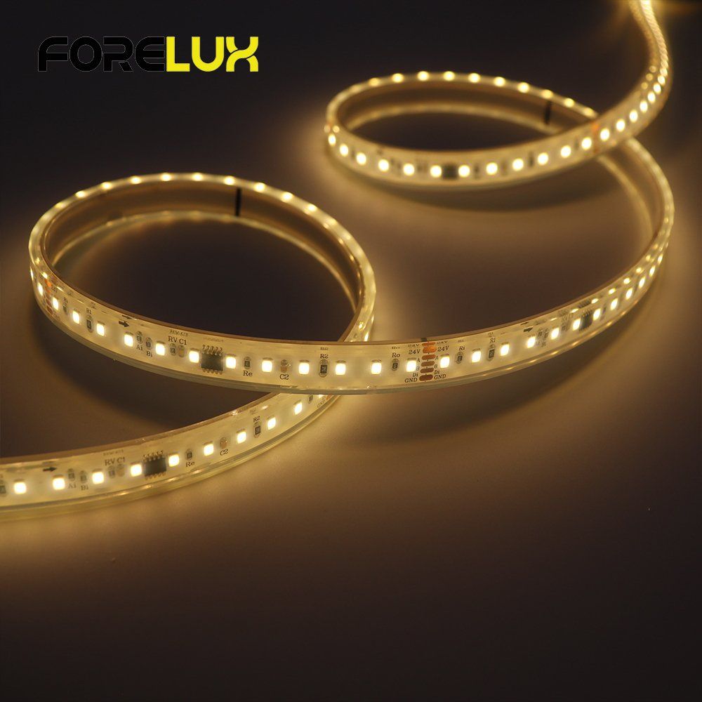 Best Festival Decoration LED Light Addressable DMX512 IP67 IP68 White LED Strip Used in Outdoor and Indoor