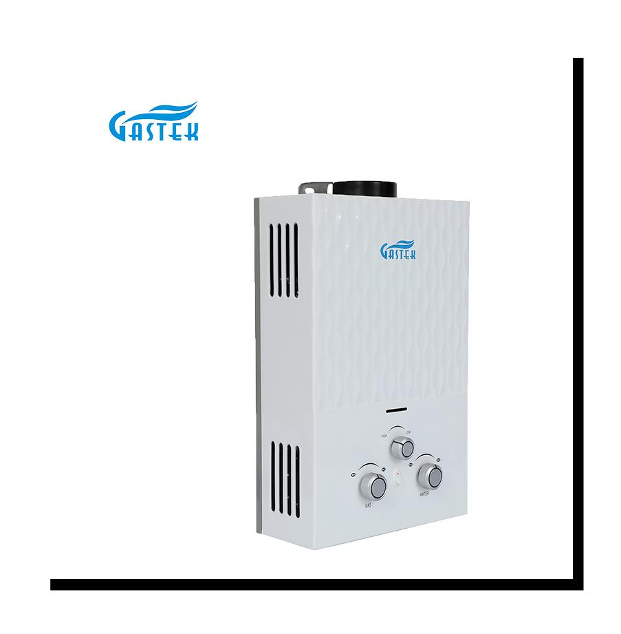 China Supplier Home Appliance OEM Factory Flue Type Gas Hot Water Heater