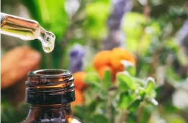 Sheerherb Hot Sale Wholesale Bulk Price Green Coffee Bean Oil Organic Green Coffee Oil - 100% Pure and Natural Essential Oils