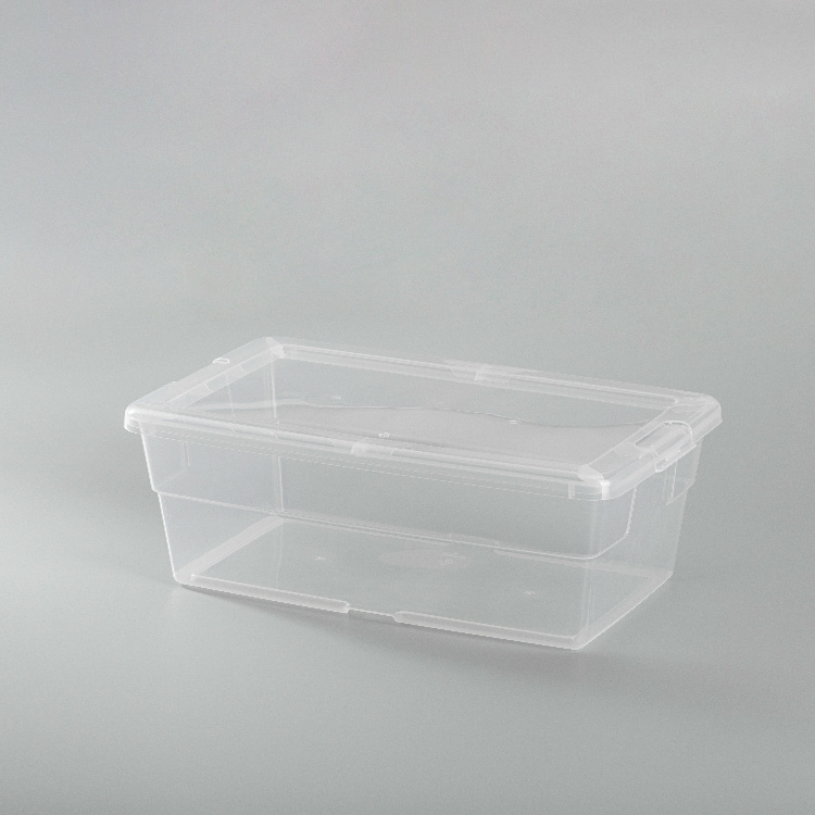 High-Quality PP5 Pantry Organizer Containers Transparent Airtight Export Standard