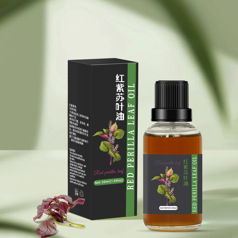 Wholesale Bulk Price Organic 100% Pure Natural Red Perilla Leaf Essential Oil in Stock
