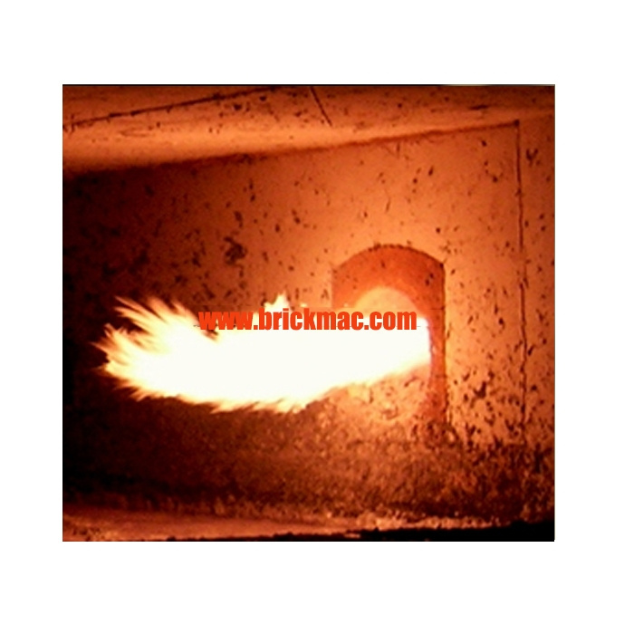 Natural Gas Burner Oil Fuel Injectors Diesel Injectors Incense Burner for Firing Burning Coal Fired Brick China Best Supplier