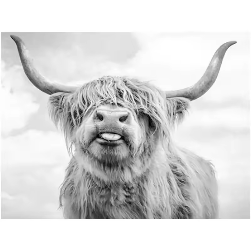 Meian Brand Highland Cow Animal Abstract Diamond Painting Handmade 5d Diy 30x40cm Wall Art