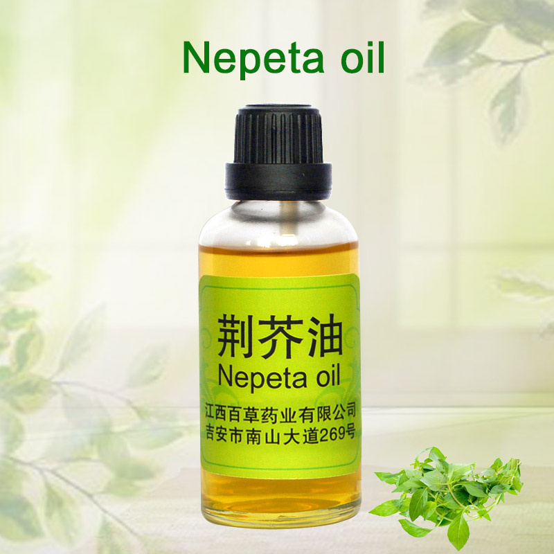 Stock Supply of Schizonepeta Flower Spike Oil, Plant Extract Essential Oil