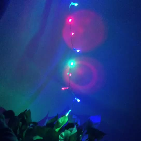 LED String Color Changing Starry Wedding String Holiday Decoration Flashing Lights