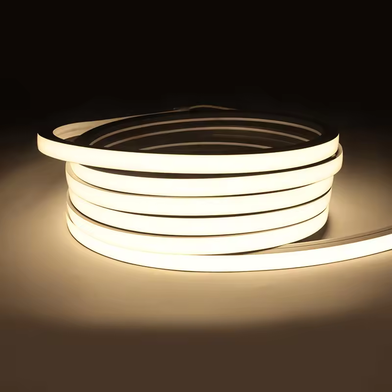 Oem & Odm Flexible Silicone Outdoor Neon Light Strip 24v 5m 10m Roll Dot-free 1010 1212 1616mm Waterproof Led Neon Rope Lights