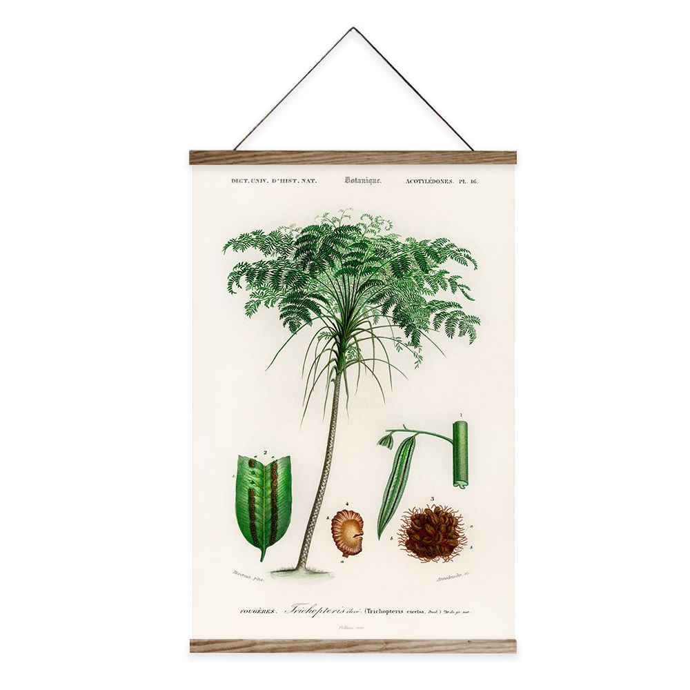 Poster Hanger Botanic Wooden Poster Hangers Frame for Walls, Pictures, Prints, Maps, Scrolls and Canvas Artwork