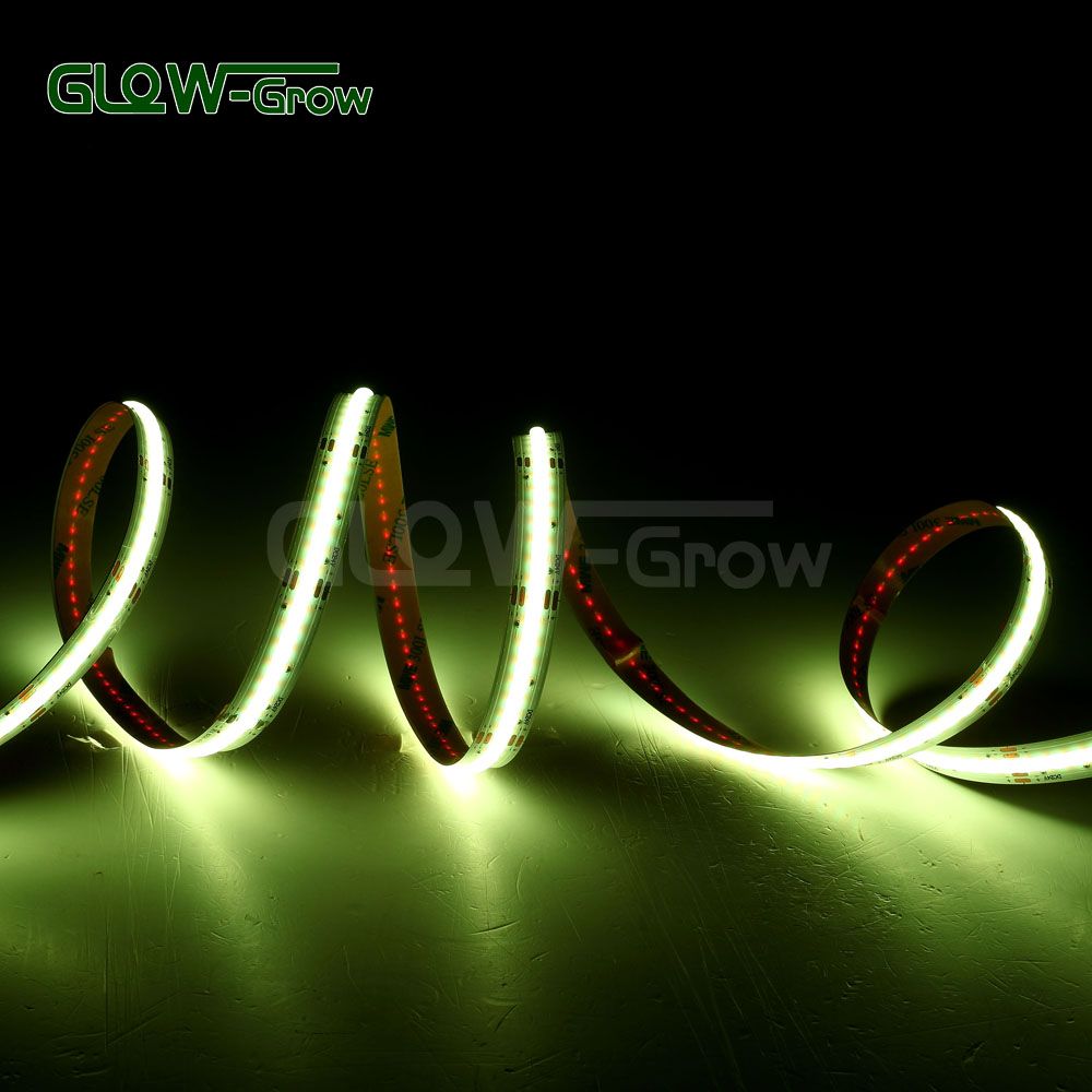 Best Quality 10mm Width 24V IP20 Easy Yellow LED COB Strip RGB Wall Light for Room Decro