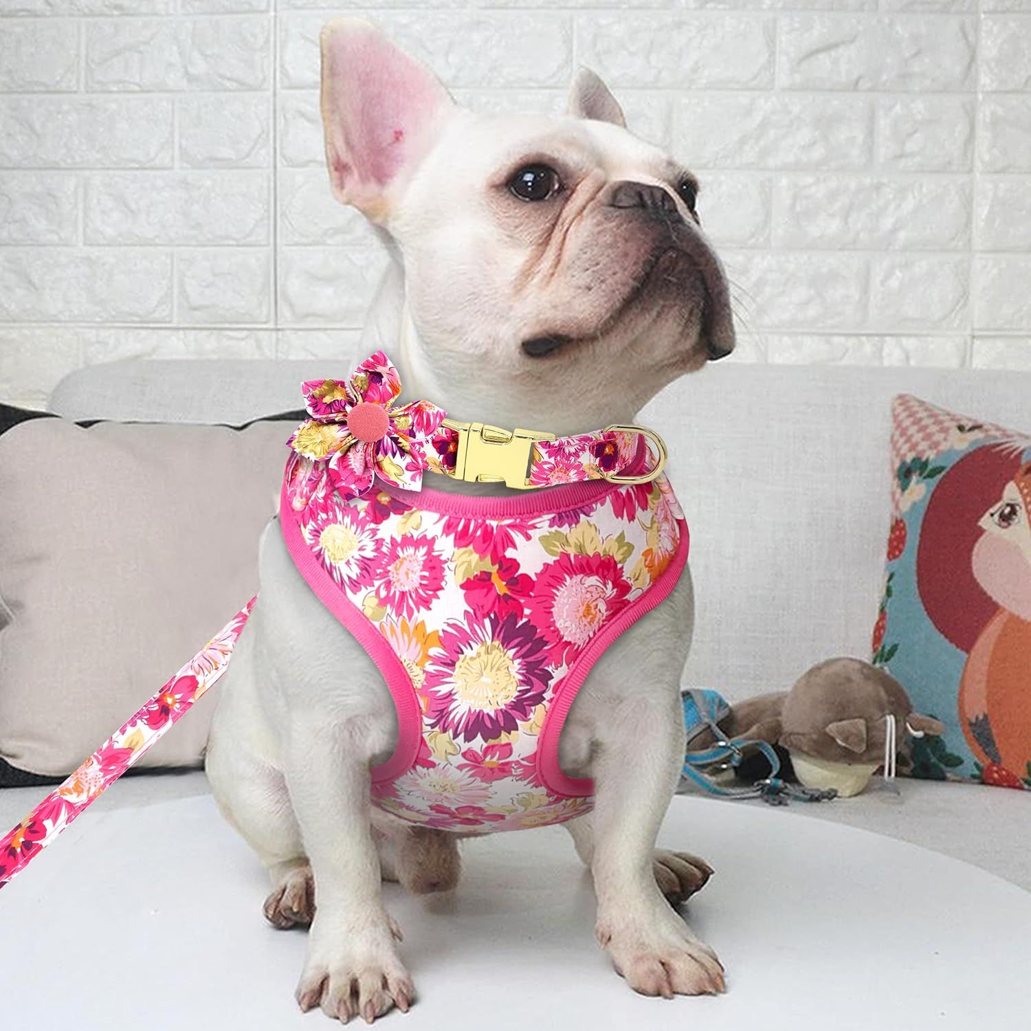 2024 Pet Supplies Dog Accessories Wholesale