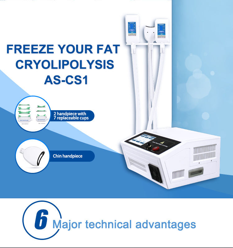 Portable OEM ODM Free Cryo Lipolysis Criolipolisi Muscle Stimulation Body Shaper Beauty Salon Equipment