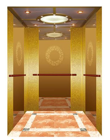 10 Stop China Factory Cheap Price Passenger Elevator Home Goods Lift