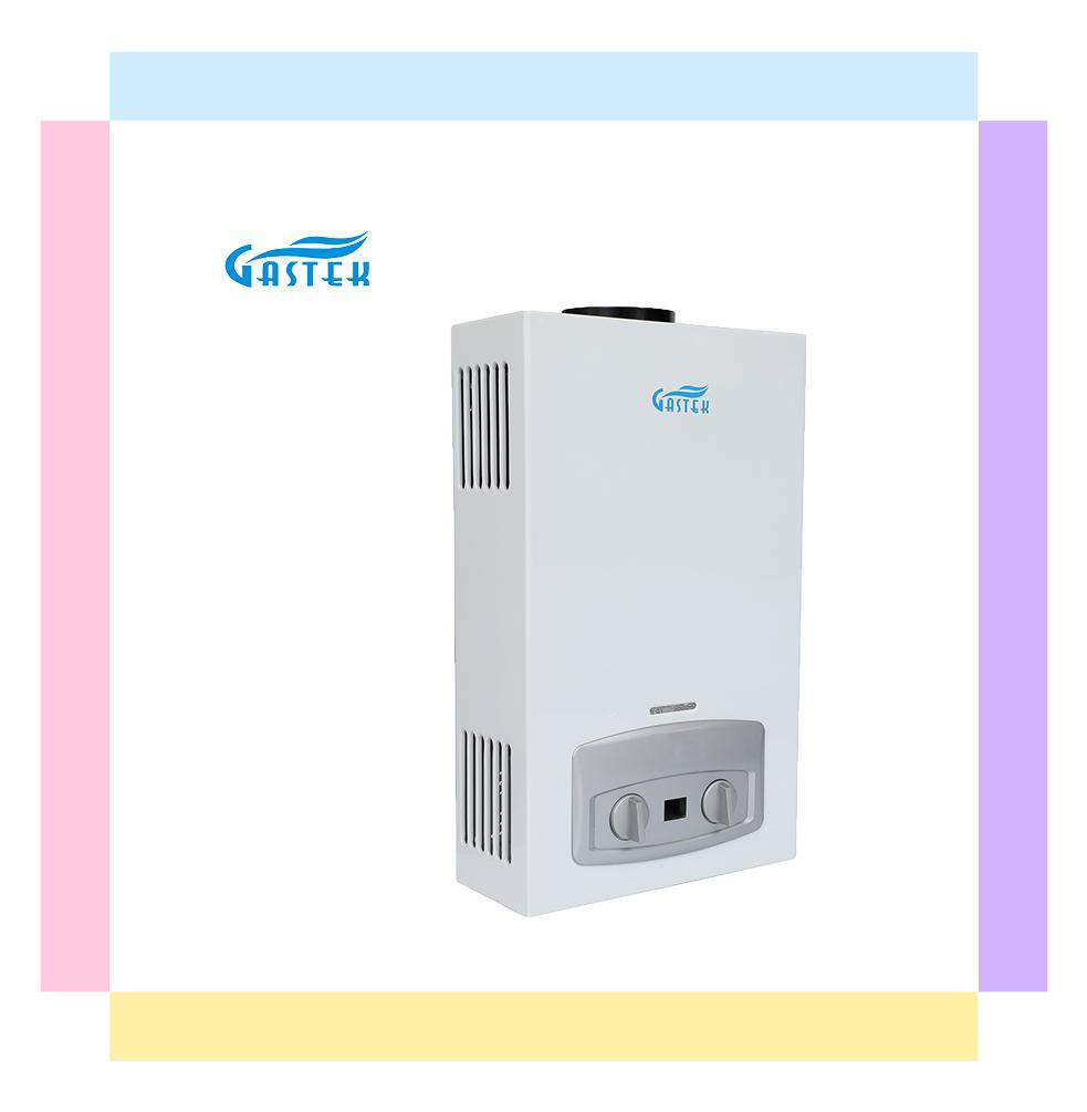 China OEM ODM Factory Home Appliance Flue Type Wall Hung Gas Heater