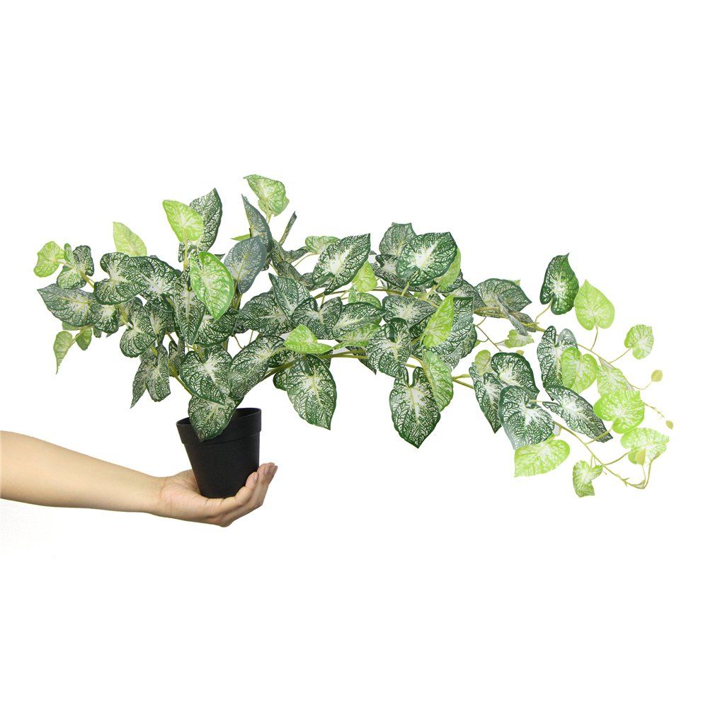 Most Beautiful Cheap Green Hanging Plant Potted for Outside Decoration