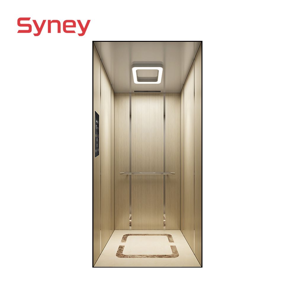 Wholesale Price Cheap Home Elevator Residential Lift for Passenger