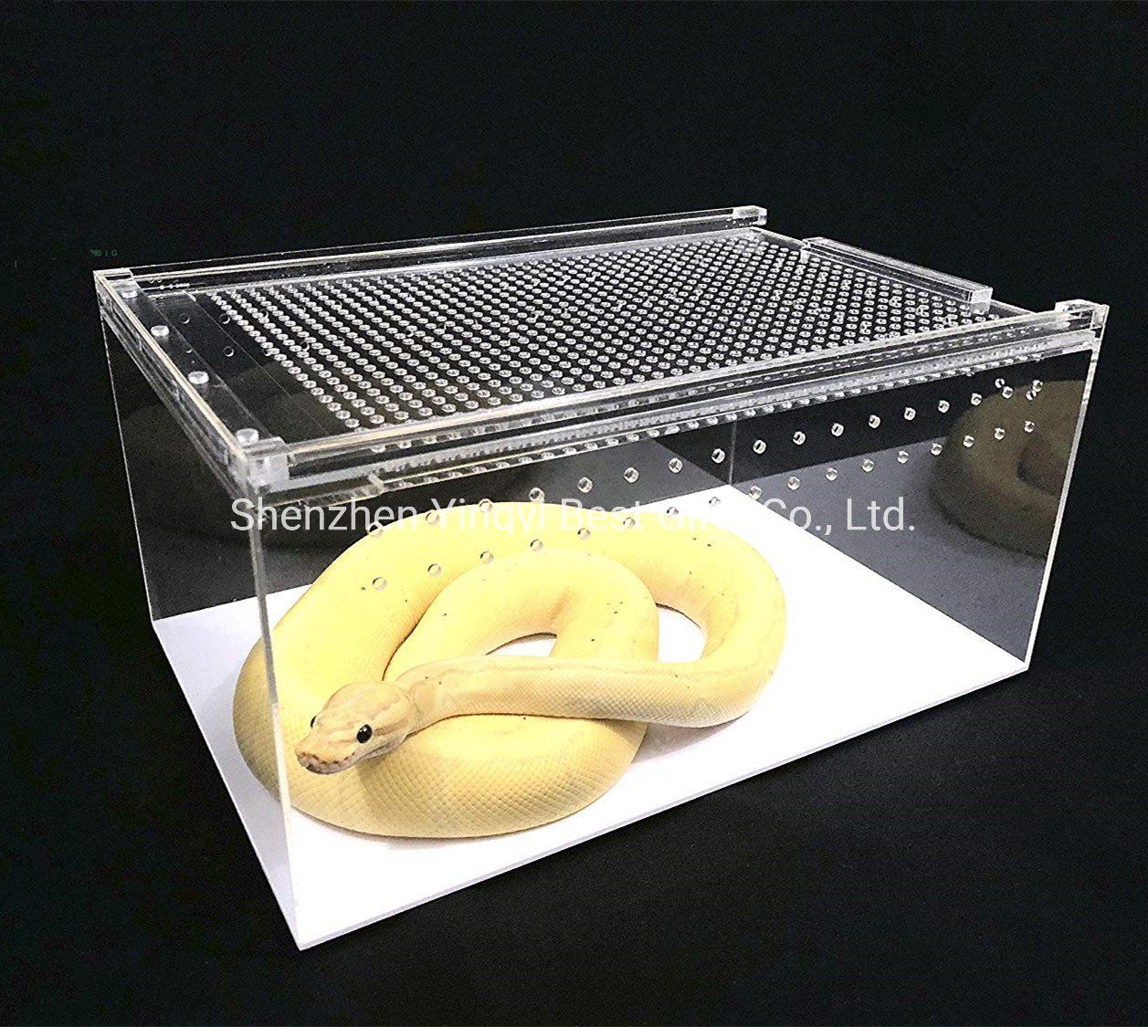 Best Selling Acrylic Reptile Terrarium Wholesale