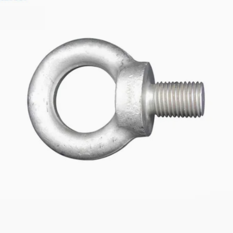Supplier Standard DIN580 Eye Bolts with Eye