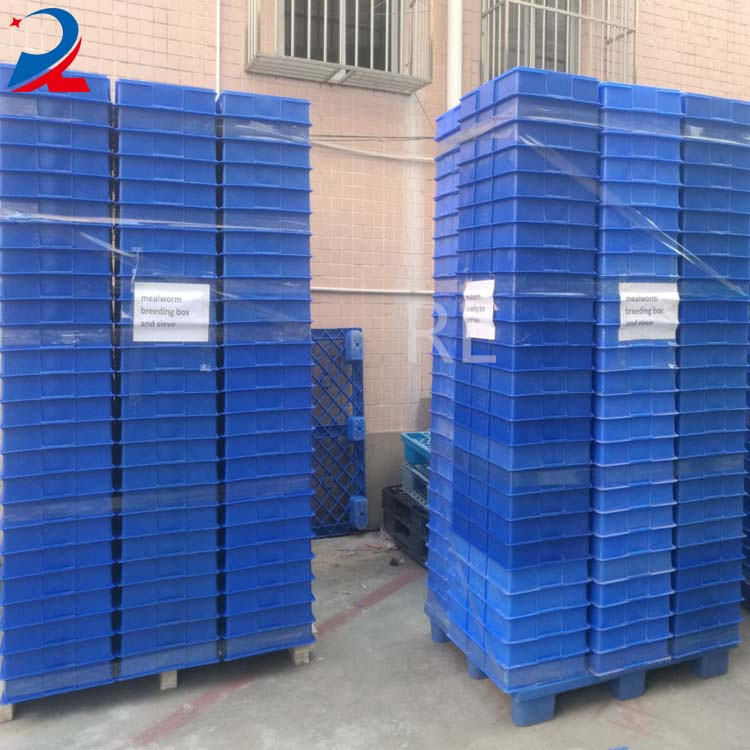 China Supplier Tenebrio Molitor Spawn Sieve Mealworms Plastic Tray