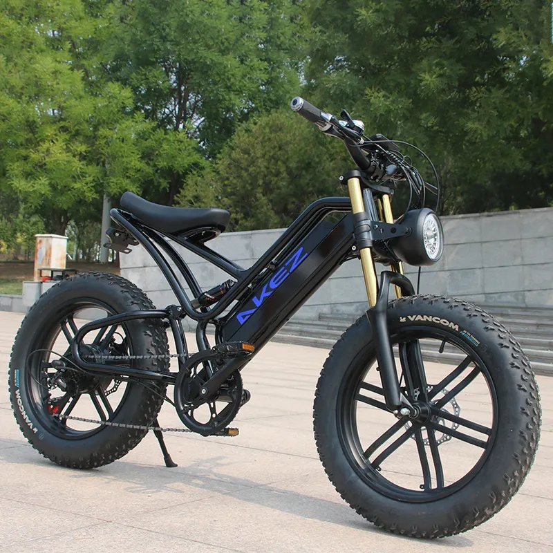 2024 New Cheap 48V 750W High-Speed Motor Electric Foldable Mountain Bike E Dire Bicycle Adult