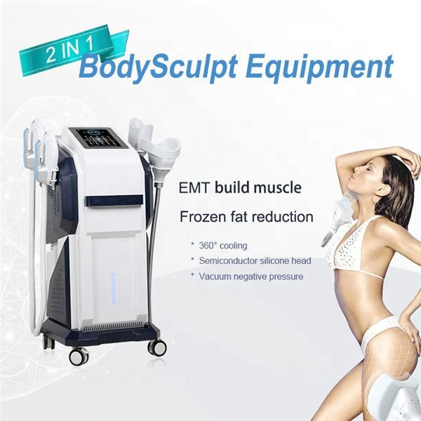 Factory Price Cryolipolysis Fat Freezing EMS Slim Weight Loss Body Slimming 2 in 1 Multifunctional EMS Cryo Beauty Machine