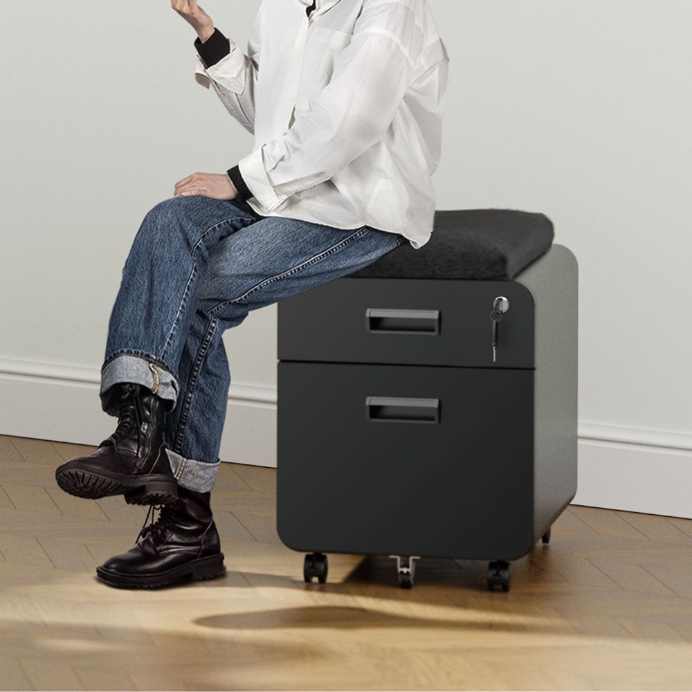 2-Drawer Locking Mobile File Cabinet with Cushion for Home Office