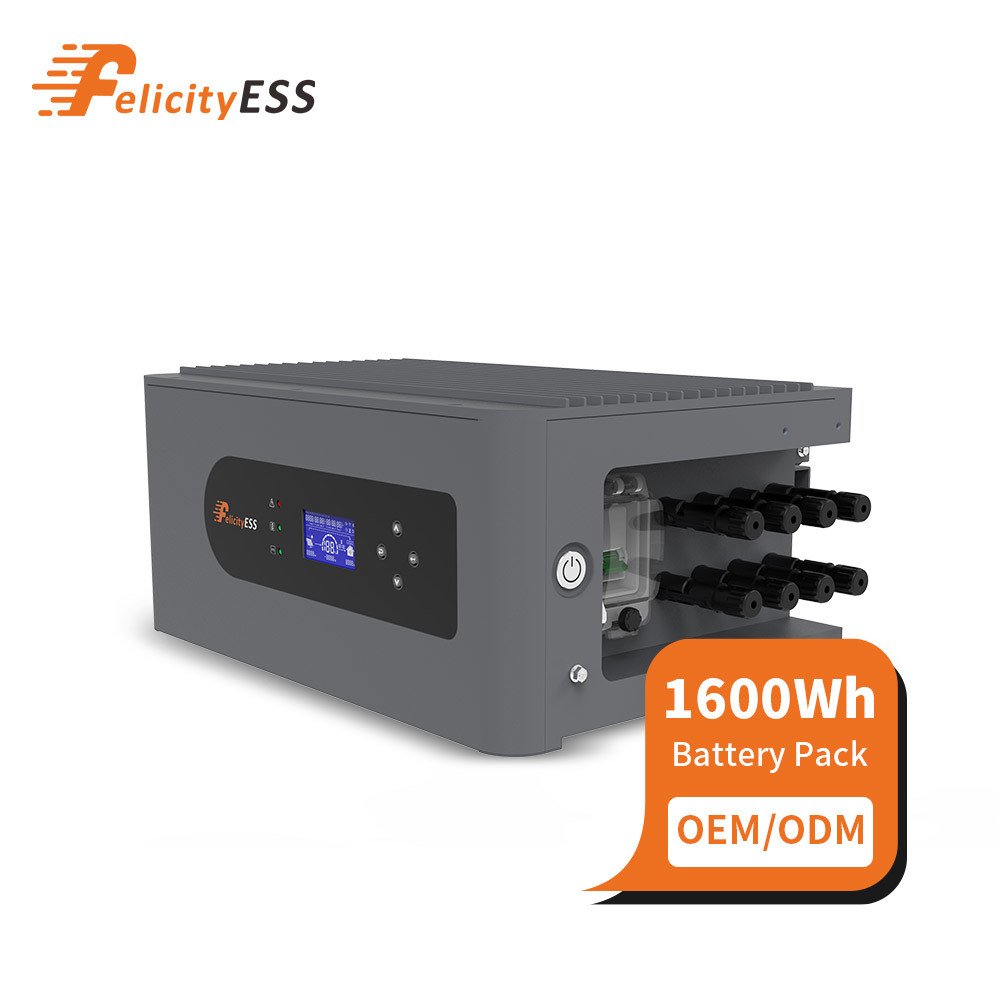 Felicityess 1.6kwh Home Use LiFePO4 Li-ion Battery with Micro Inverter Solar Power Balcony Energy Storage System
