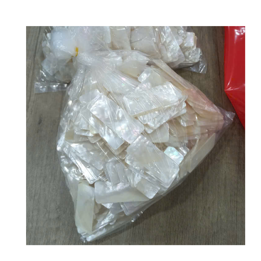 Hot Deal 2025 Rectangular Iridescent Shell Veneer for Luxury Wood Inlay Marquetry Projects and Artistic Home DEcor