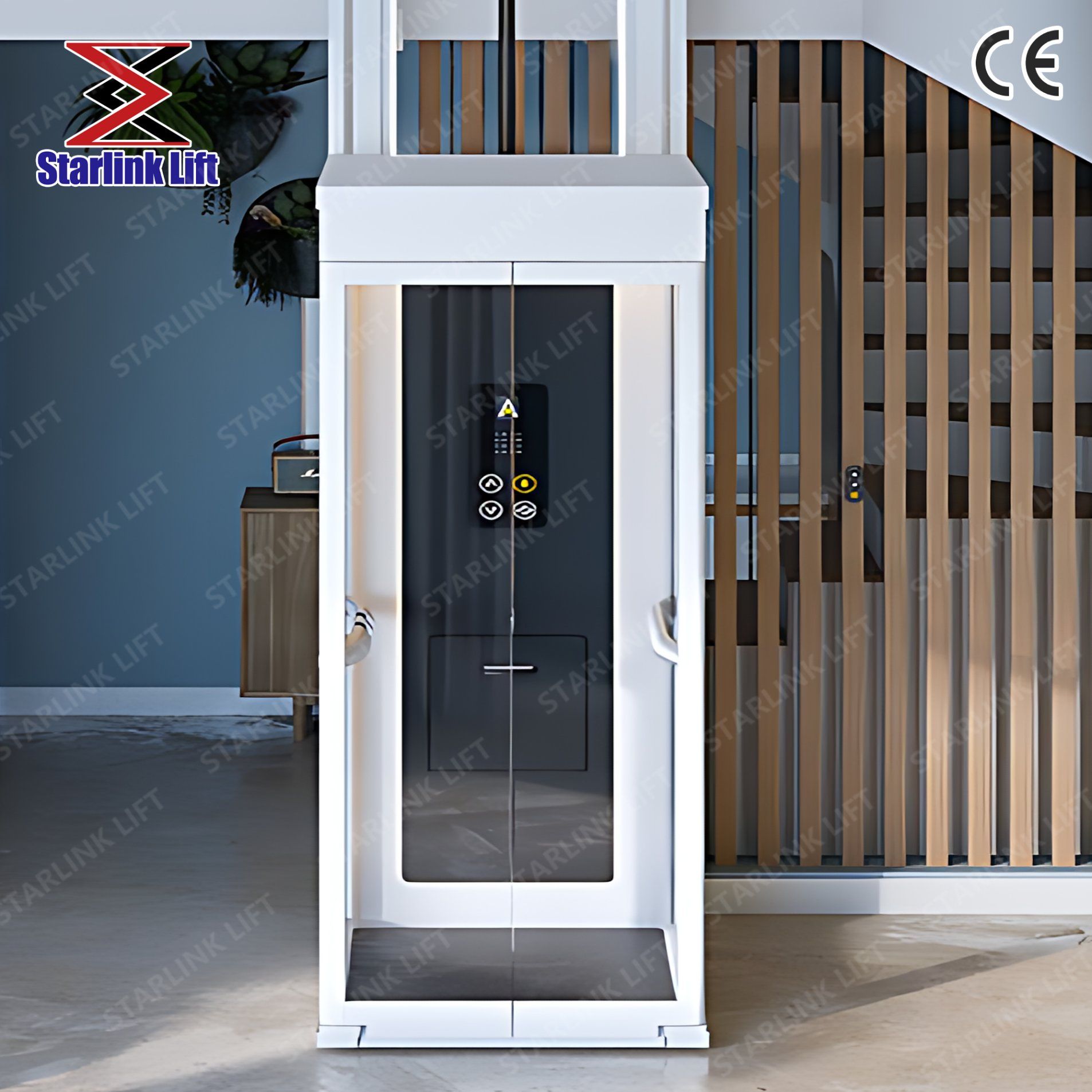 with CE Cheap Factory Price Small Outdoor Indoor Home Elevator Home Residential Elevators