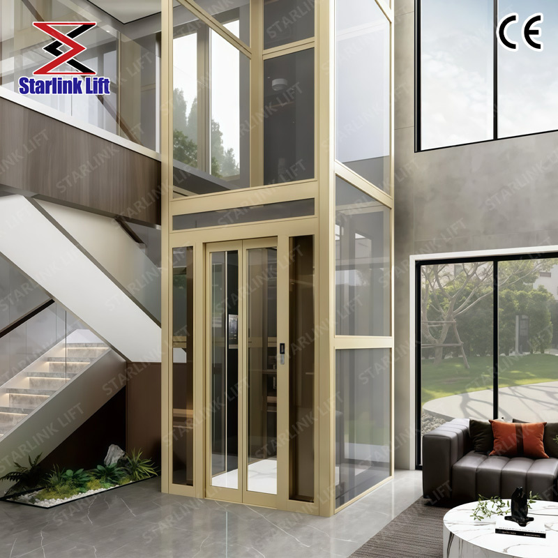 CE Small Size Machine Roomless Home Lift Villa Passenger Elevator
