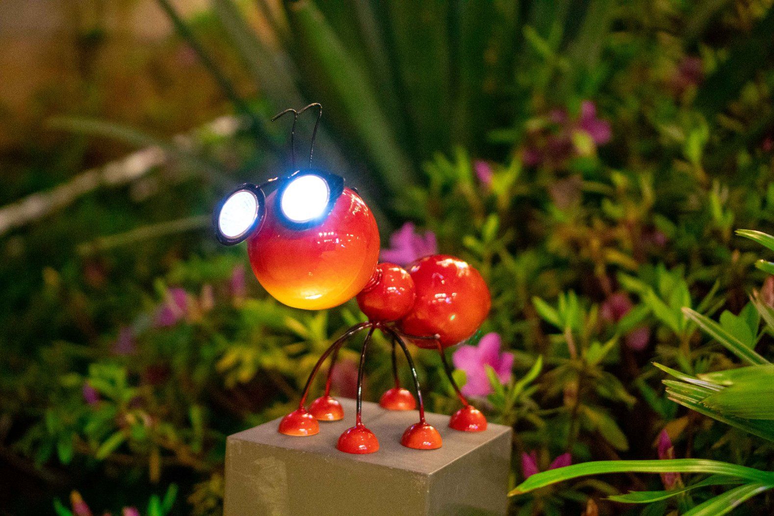 Metal Solar Decoration Ant Garden LED Light China Supplier