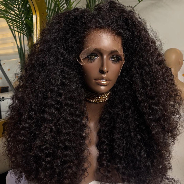 Hot Selling Beauty Products 2024 Raw Vietnamese Human Hair 2X6 Lace Closure Wig Glueless Full HD Lace Front Wigs for Black Women
