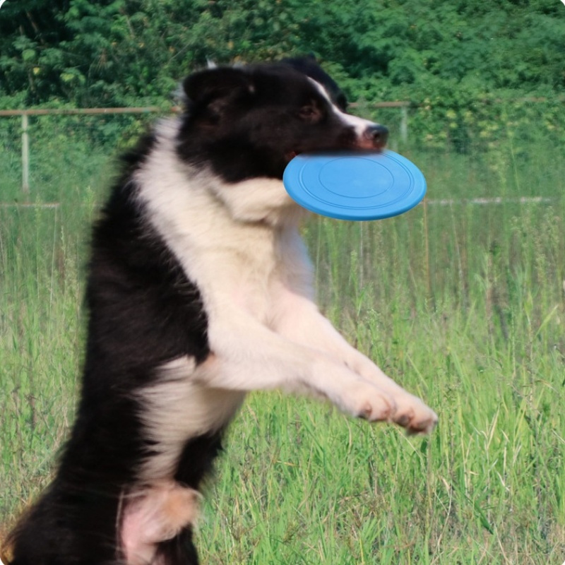 Soft Pet Interaction Toys Outdoor Frisbeed Training Flying Disc Dog Toy