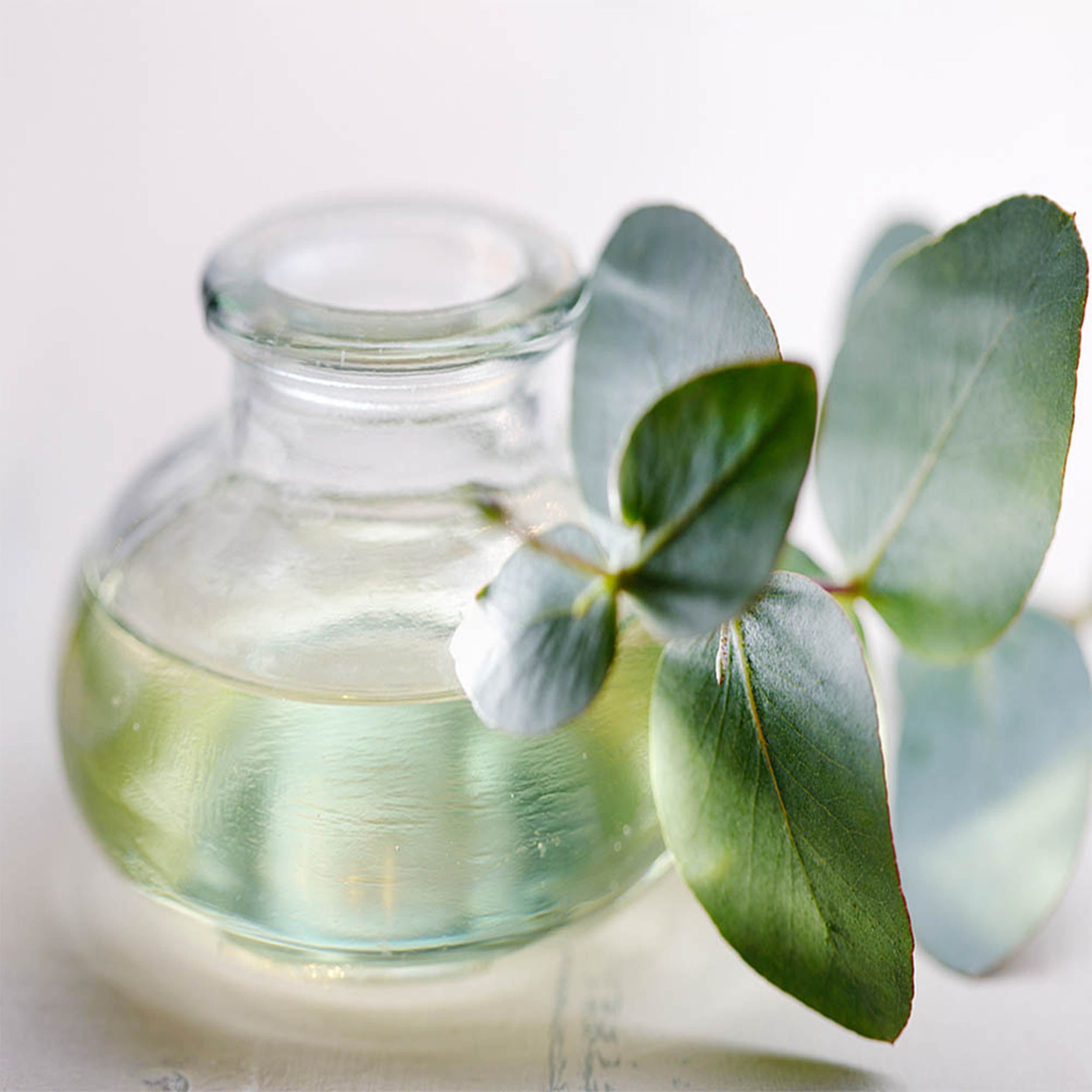 Wholesale Best Price Essential Oil Natural Organic Eucalyptus Globulus Oil