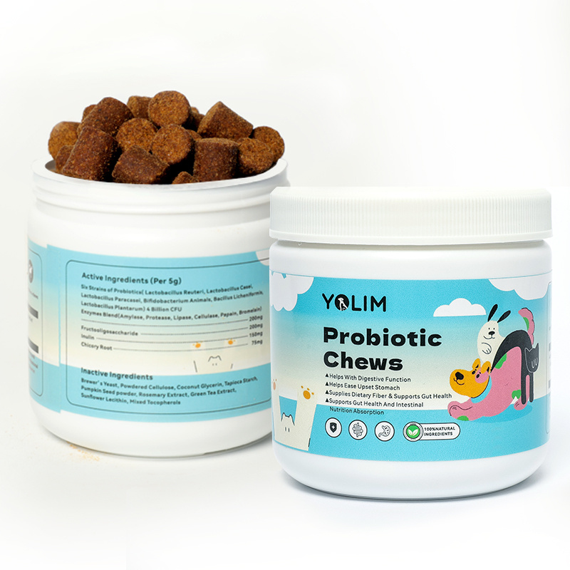 Organic Probiotic Chews for Enhanced Gut Health in Pets
