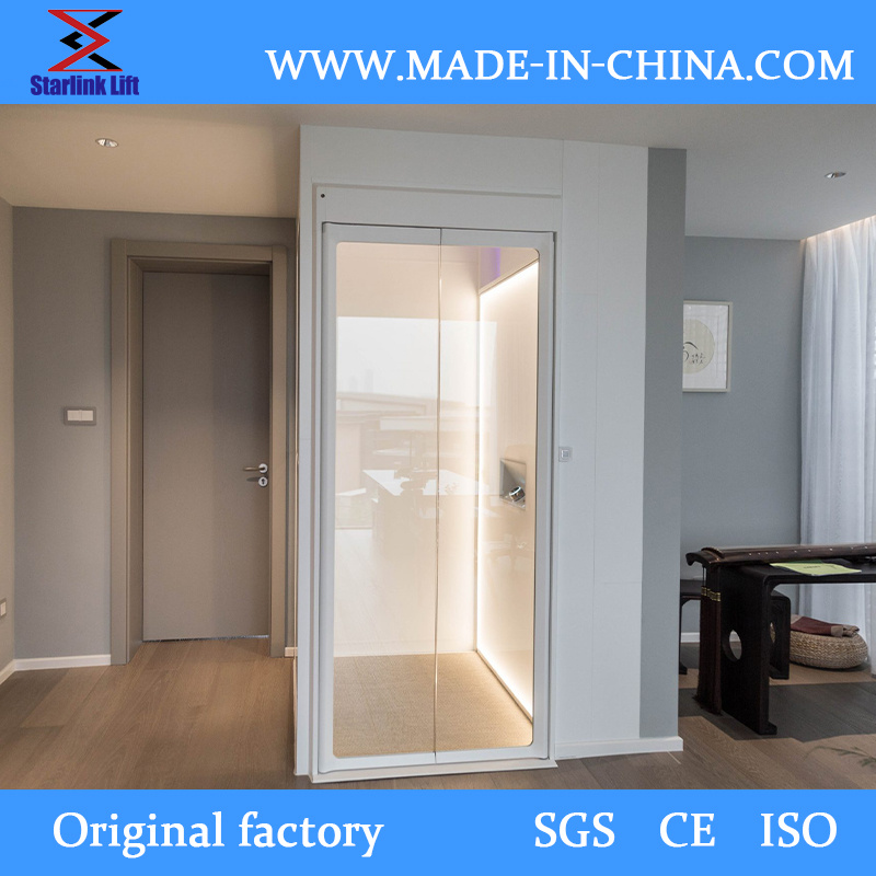 with CE Hydraulic Elevator Manufacture with Pretty Competitive Price 250kg Home Lifts