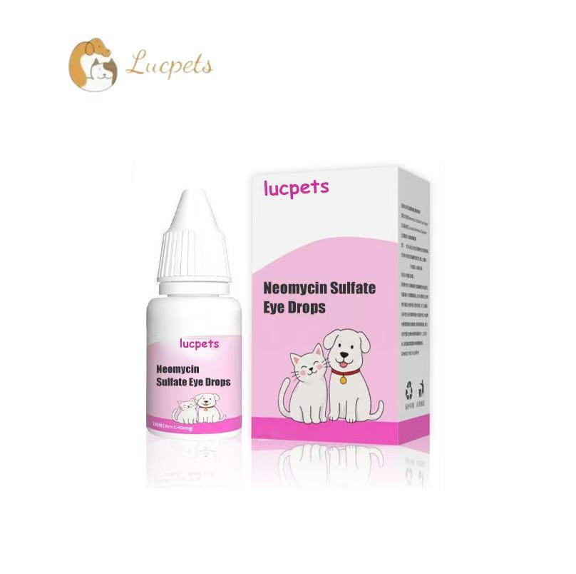 Neomycin Sulfate Eye Drops 8ml Mainly Used for Conjunctivitis, Keratitis, etc.