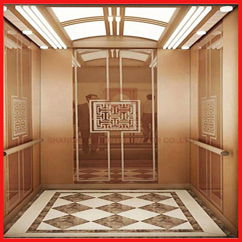 Factory Directly Residential House Small Home Elevator