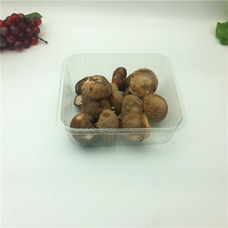 Hot Sale Clear Pet Plastic Fruit and Mushroom Tray