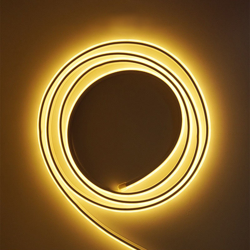 Waterproof Fairy Neon Strip Lights for Outdoor Christmas Tree and Garden Use