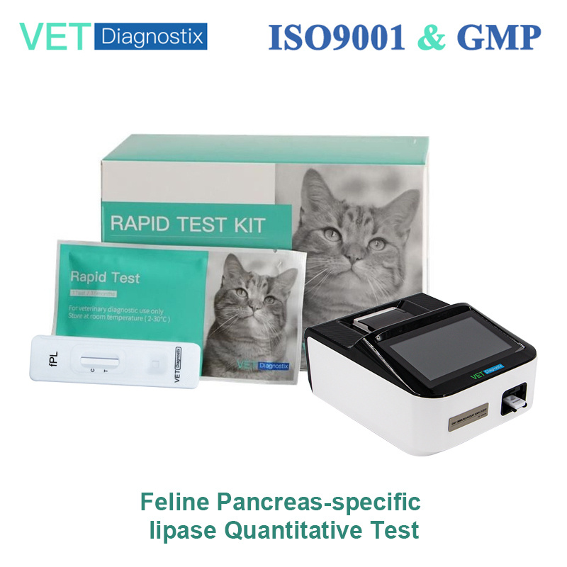Feline Pancreas-Specific Lipase Quantitative Test Fpl Test Kit