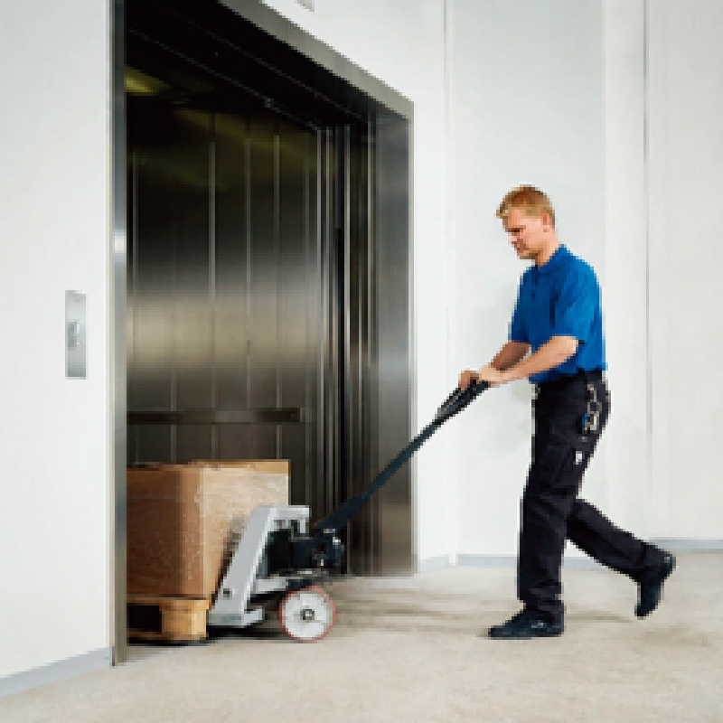 Factory Sale Quality Luxury Villa Lift Easy-to-Install Elevator for Home Residential