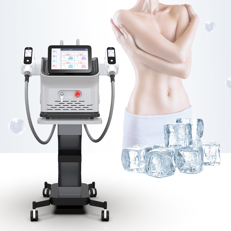Cryolipolysi Machine Home Use Fat Freezing Cryolipolysis Manufacturer Weight Loss Kryolipolyse Device Criolipolise